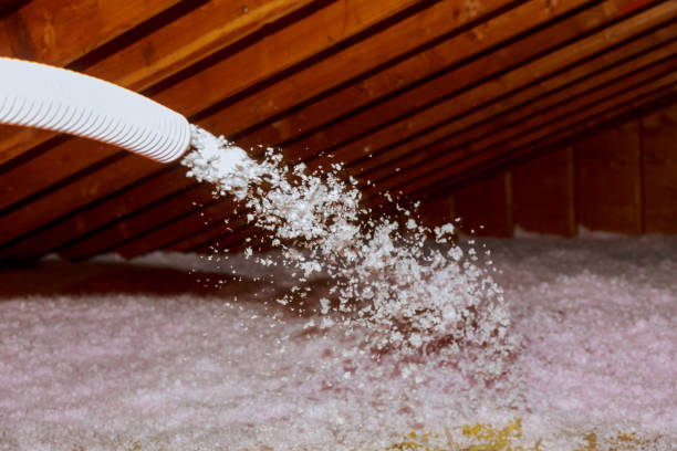 Best Eco-Friendly Insulation in Lincoln, ND